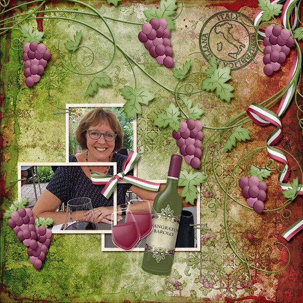 Red Italian wine