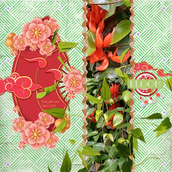 Red-Jade-webv.jpg