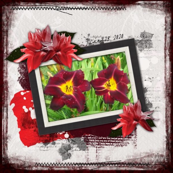 Red Lily