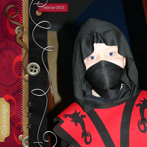 Red Ninja