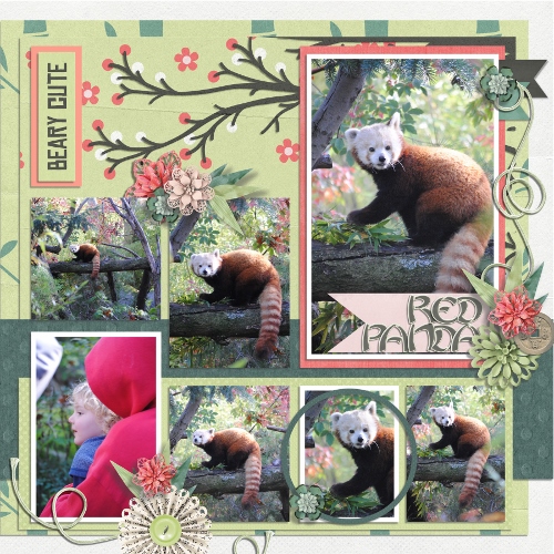 Red Panda )Right)