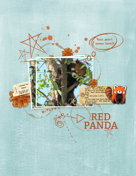 Red Panda