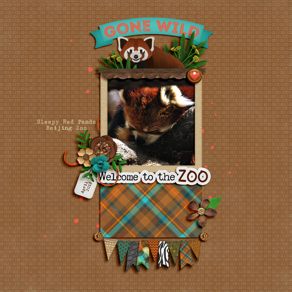 red panda