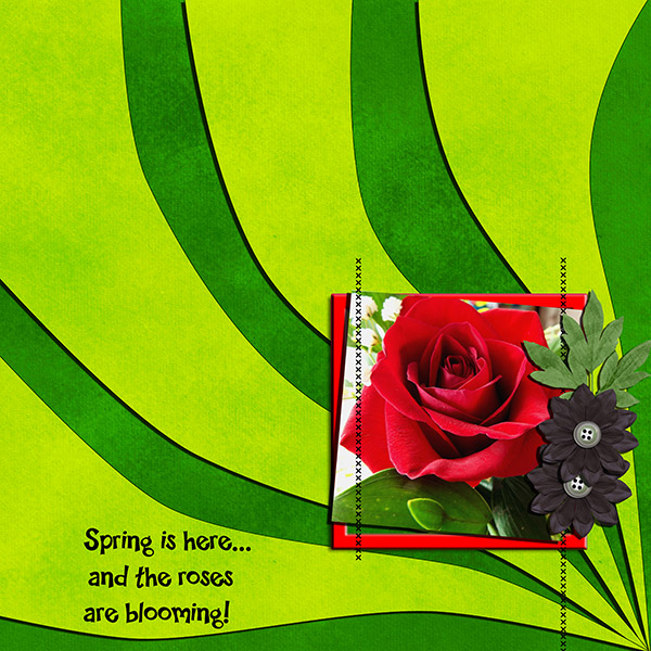 Red Rose