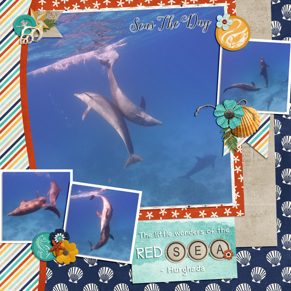 Red Sea Wonders