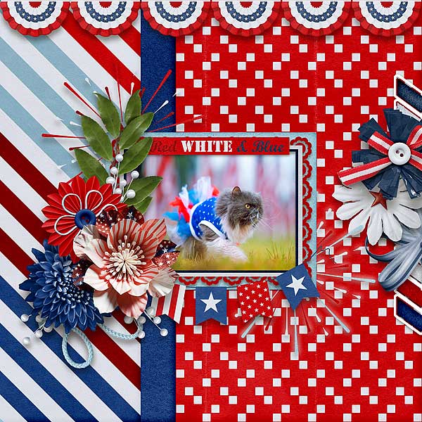Red White and Blue