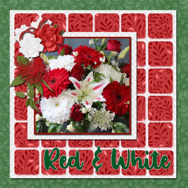Red & white