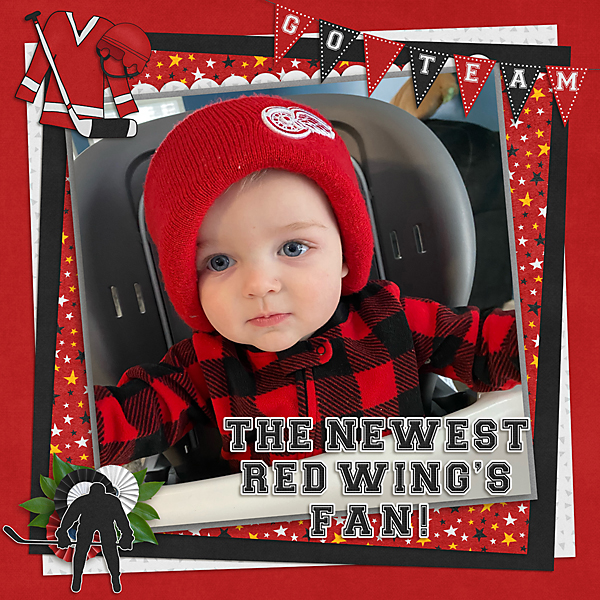 Red Wings Fan