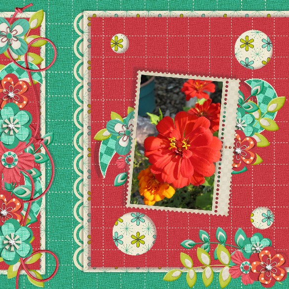 Red Zinnia