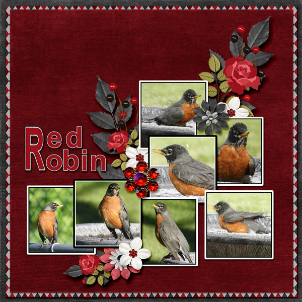 Red_Robin_small
