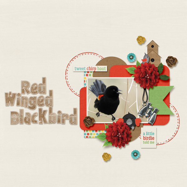 red_winged_blackbird_small1