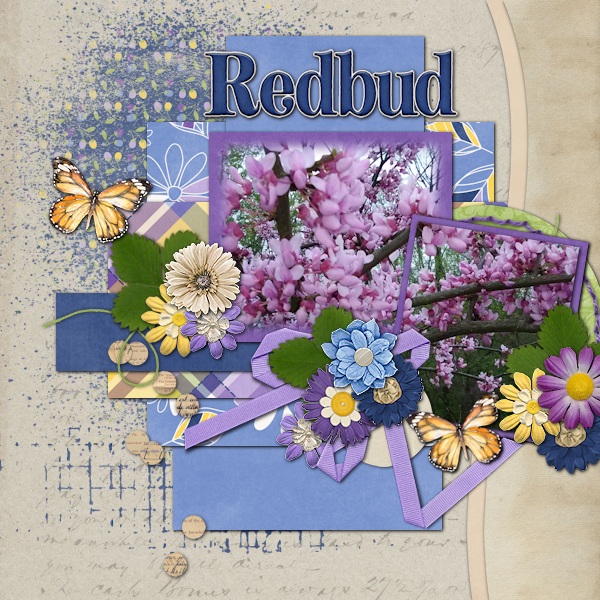 Redbud