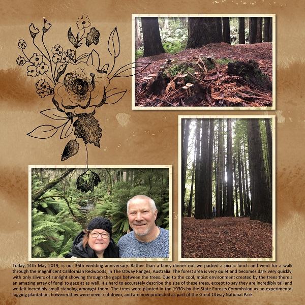 Redwood Forest