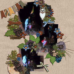 Redwoods 2015