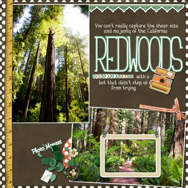 Redwoods