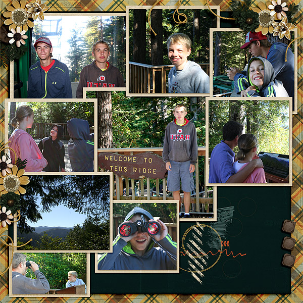 Redwoods3