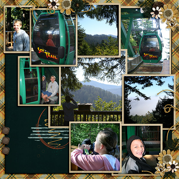 Redwoods4