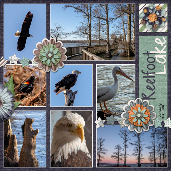 Reelfoot