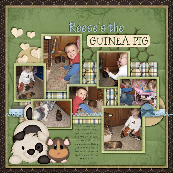 Reese's the Guinea Pig