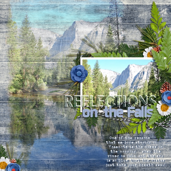 Reflection on the Falls Survivor Week 2