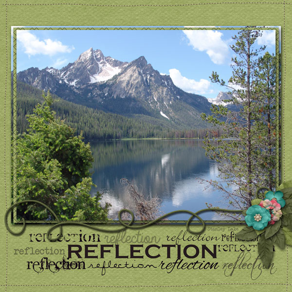 Reflection