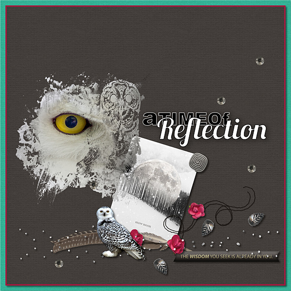 Reflection