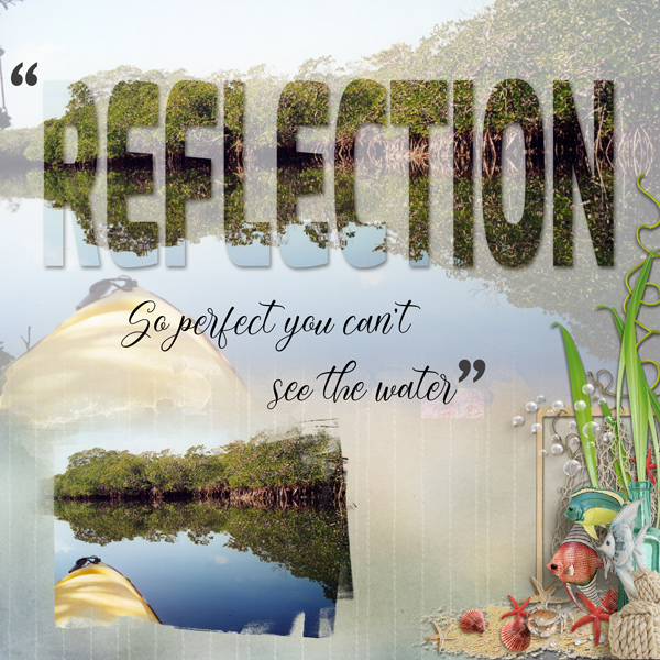 Reflection