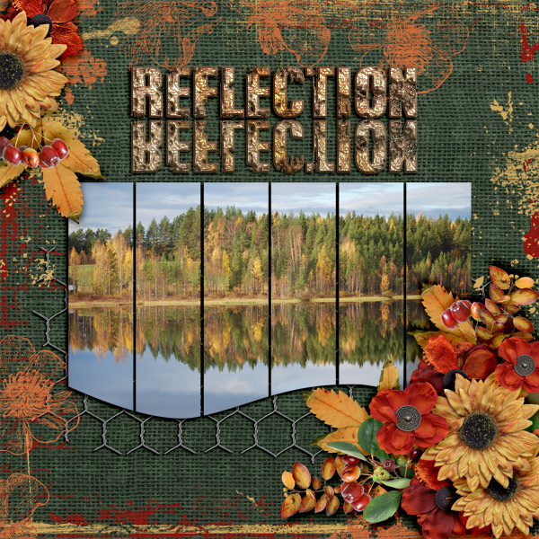 Reflection7