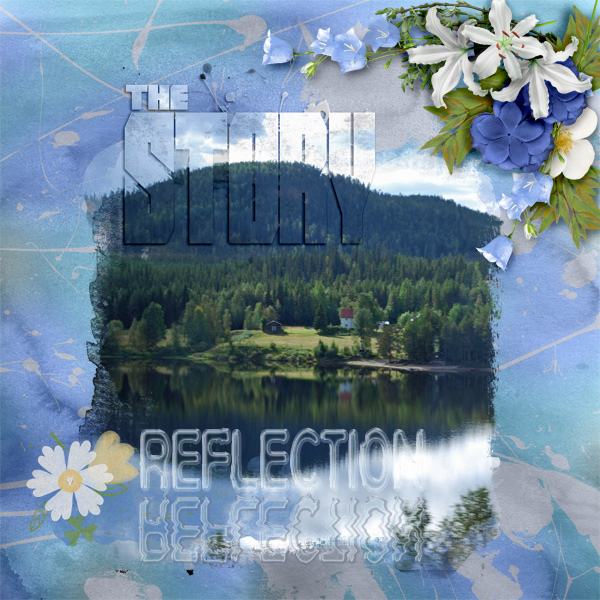 Reflection8