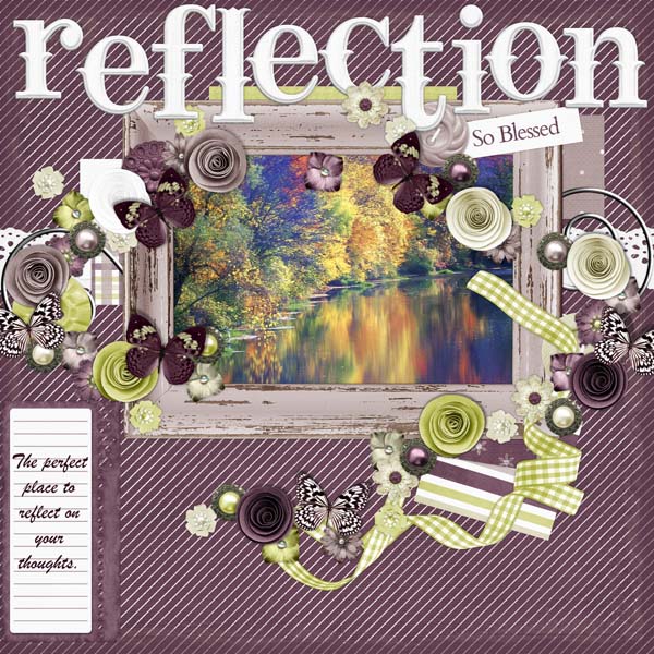 Reflectionprev