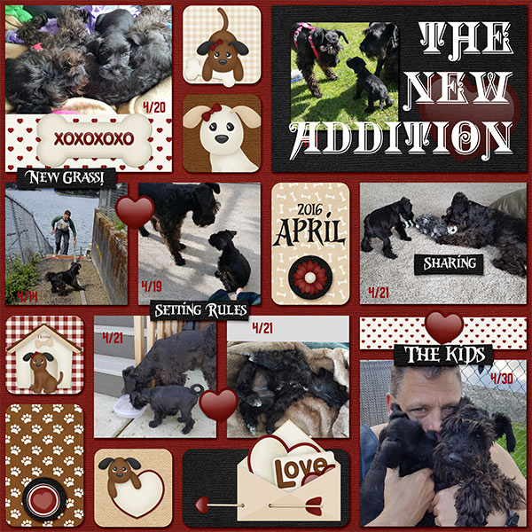 Reflections: April