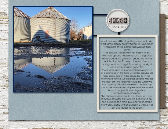Reflections Grain Bin