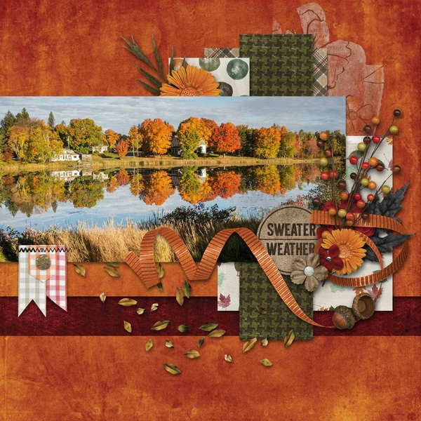 Reflections of Fall