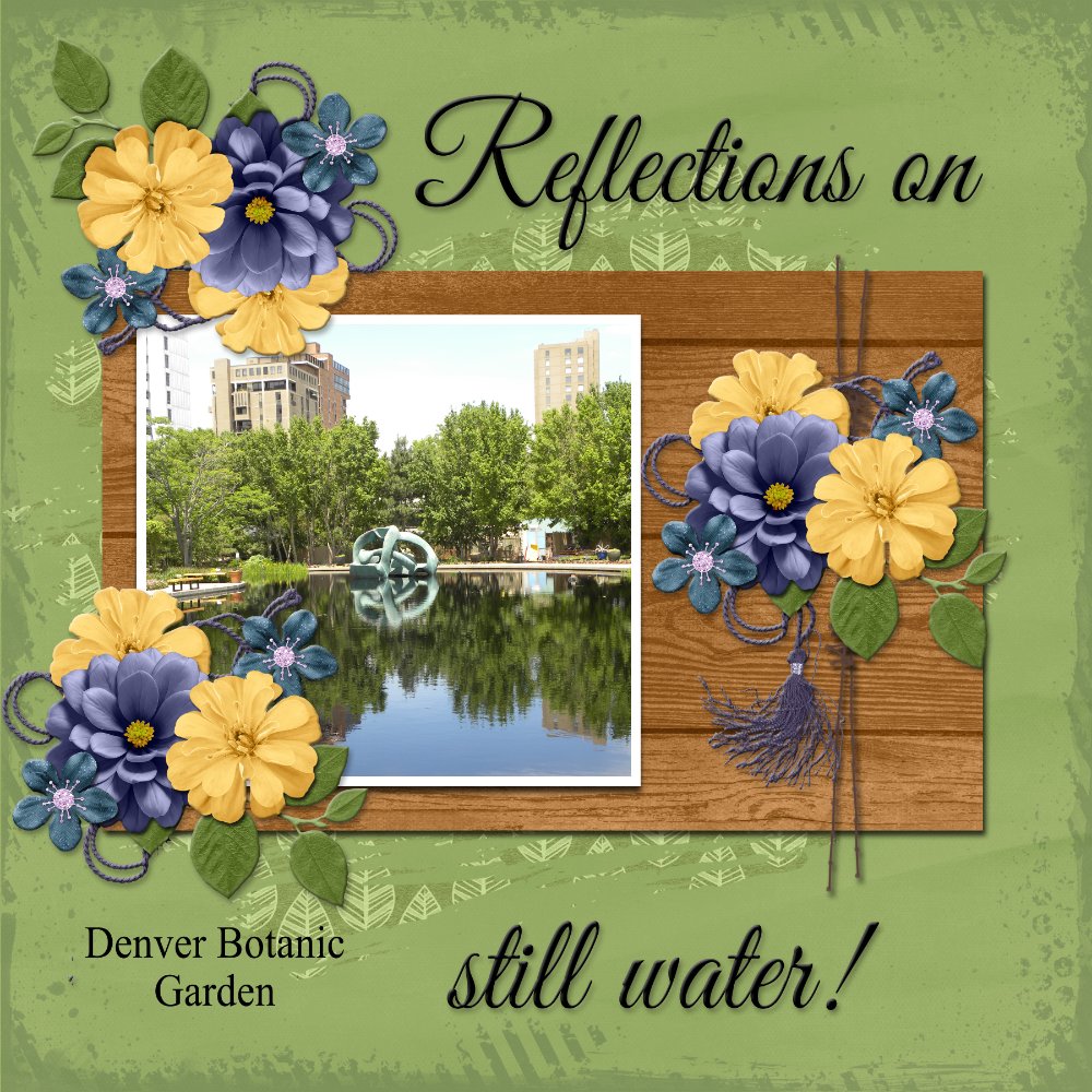 REFLECTIONS ON STIL WATER