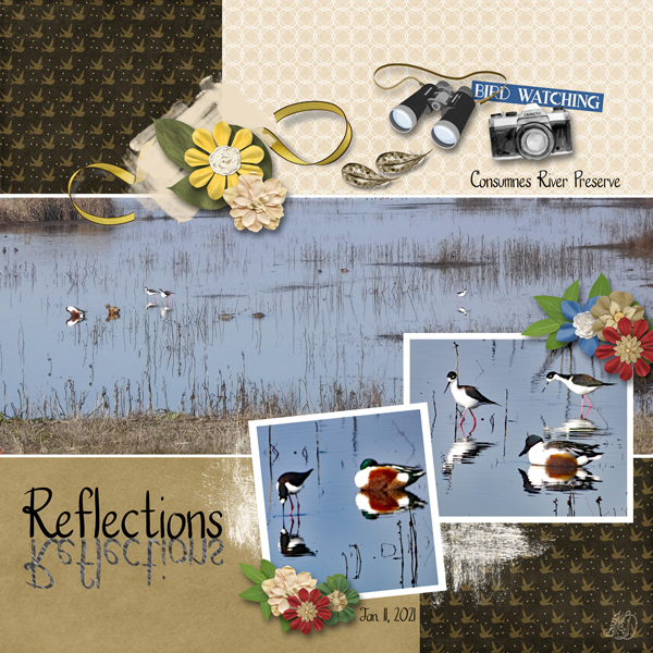 Reflections