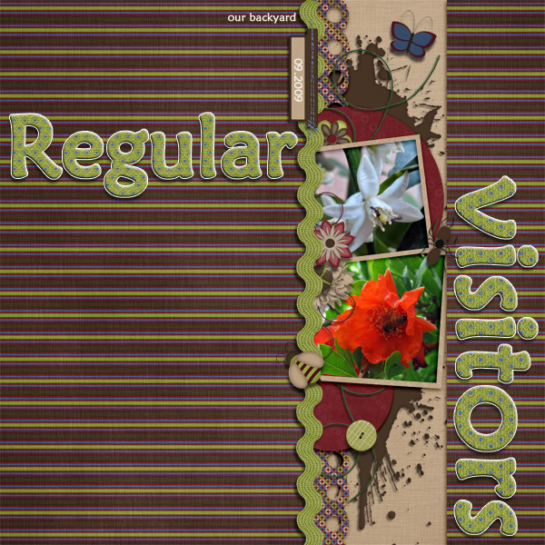 Regular Visitors