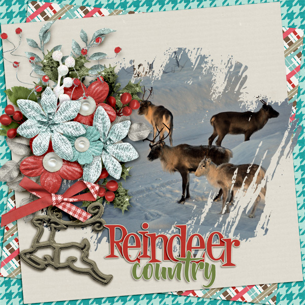 Reindeer-country