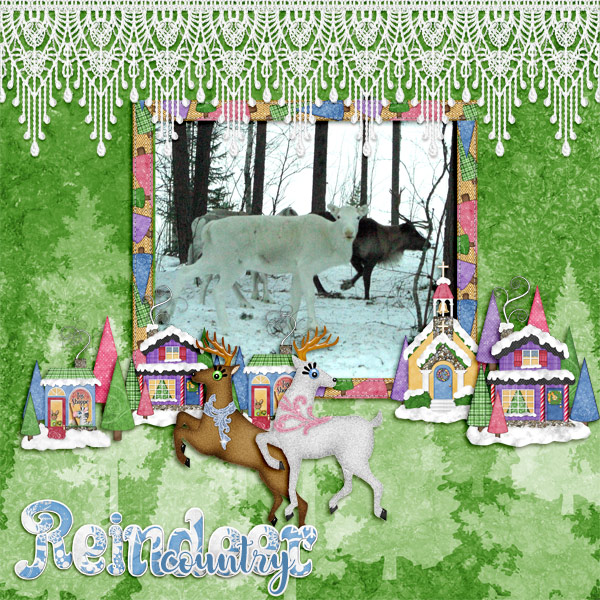 Reindeer-country1