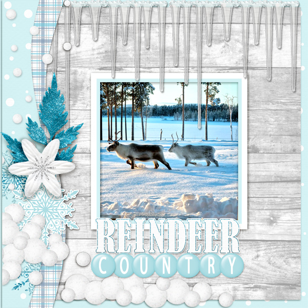 Reindeer-country2