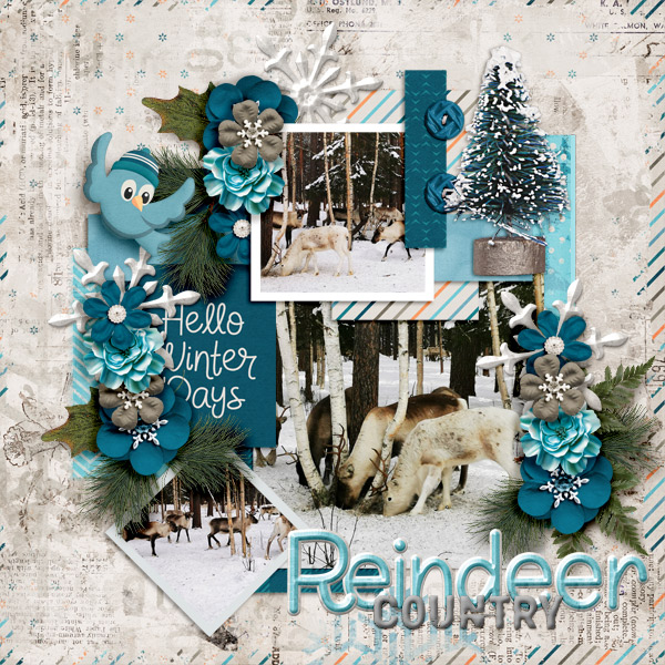 Reindeer-country3