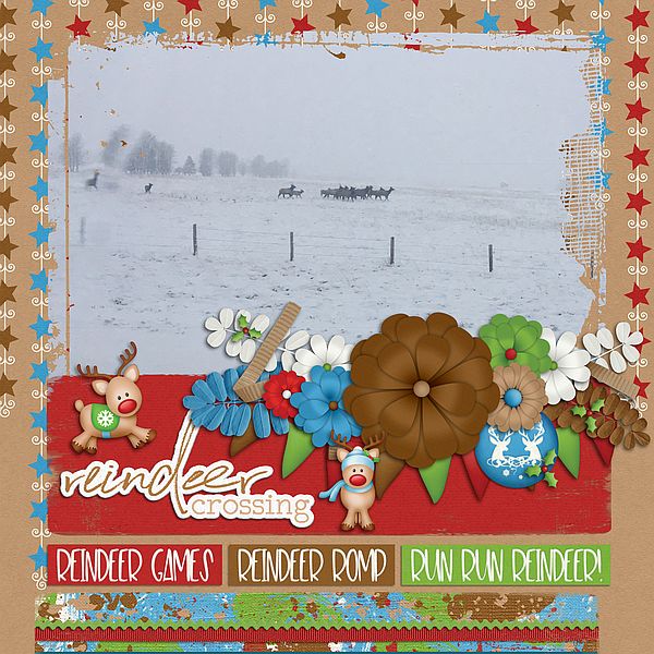 Reindeer Crossing