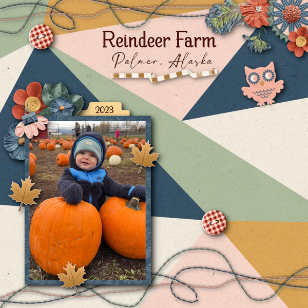 Reindeer Farm