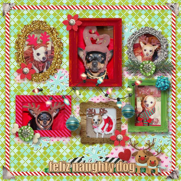 Reindeer Gallery