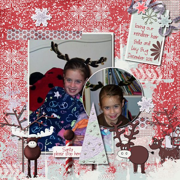 Reindeer Hair!