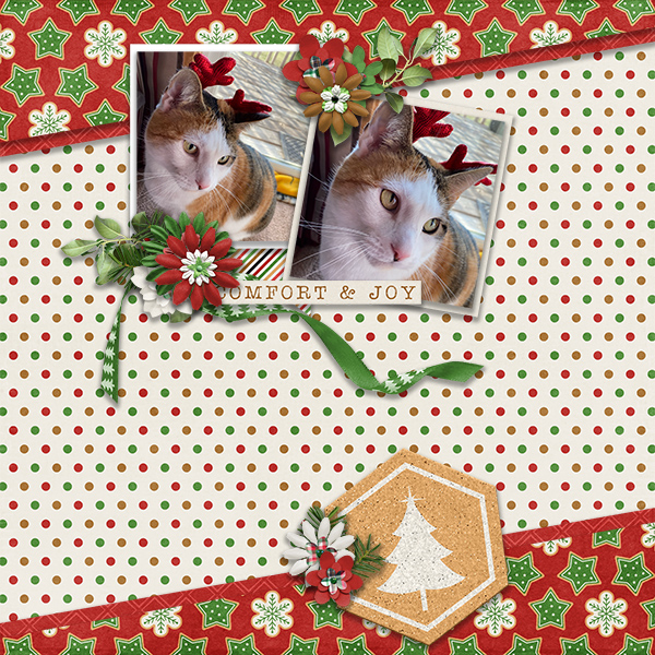 Reindeer Kitty