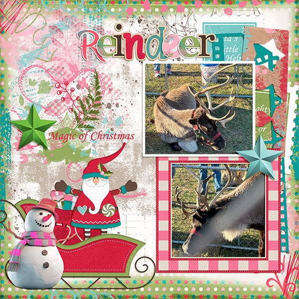 Reindeer