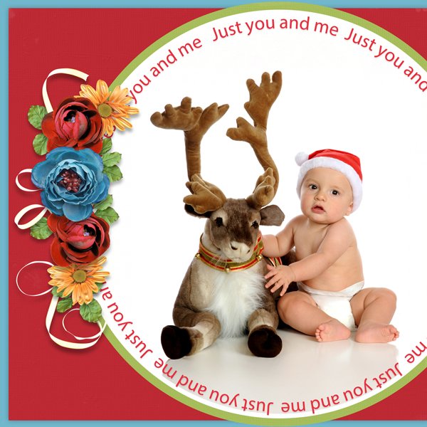 Reindeer