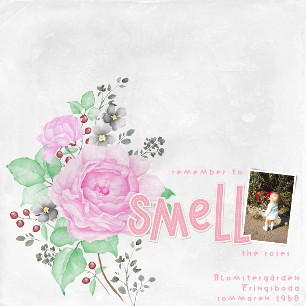 Remember to smell the roses