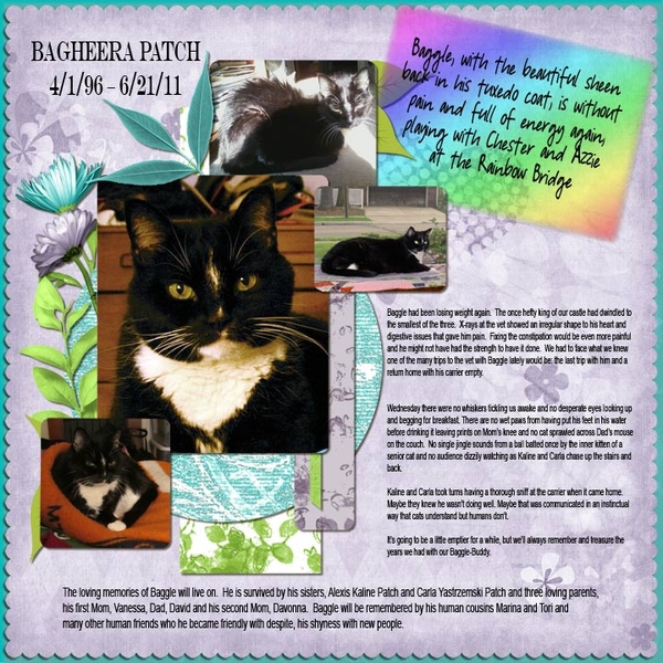 Remembering Baggle