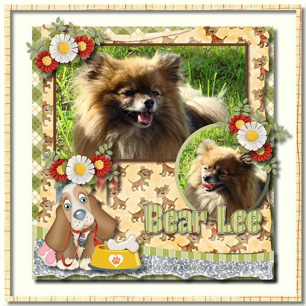 Remembering Bear Lee